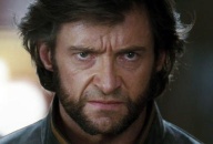 wolverine